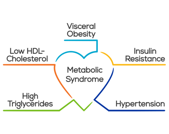 Insulin Resistance Syndrome - Medical Consulting Company